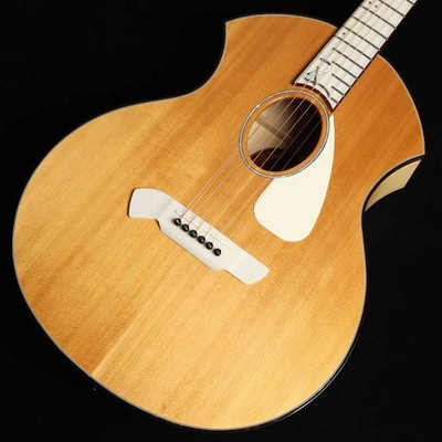 Parker PA24 Used Acoustic Guitar
