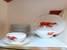 Servizio pesce Bavaria Tirschenreuth nuovo 12 piatti piatto portata zuppiera sal