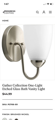 Progress Light-Gather Collection One-Light Etched Glass Vanity Light