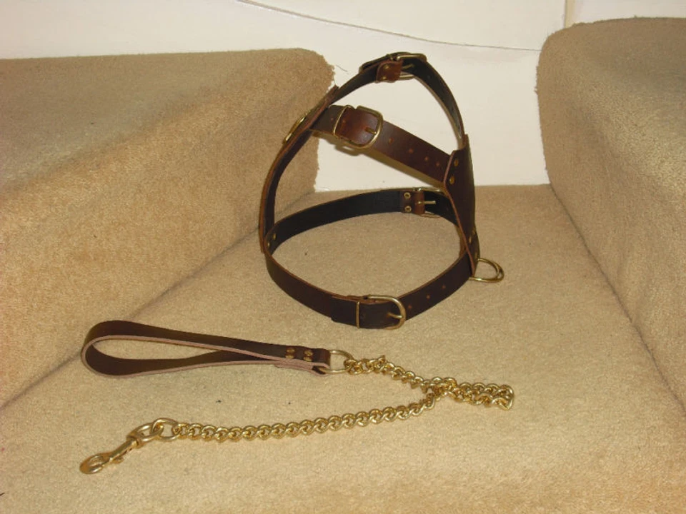 BROWN PADDED LEATHER DOG HARNESS FOR STAFFY WITH LEAD - Image 3 of 4