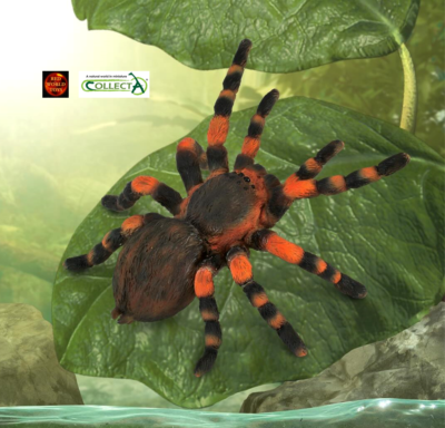 Mexican Red Knee Tarantula Spider Halloween Toy Model Figure