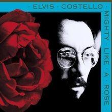 Mighty Like a Rose(2 CD Deluxe) von Costello,Elvis | CD | Zustand sehr gut