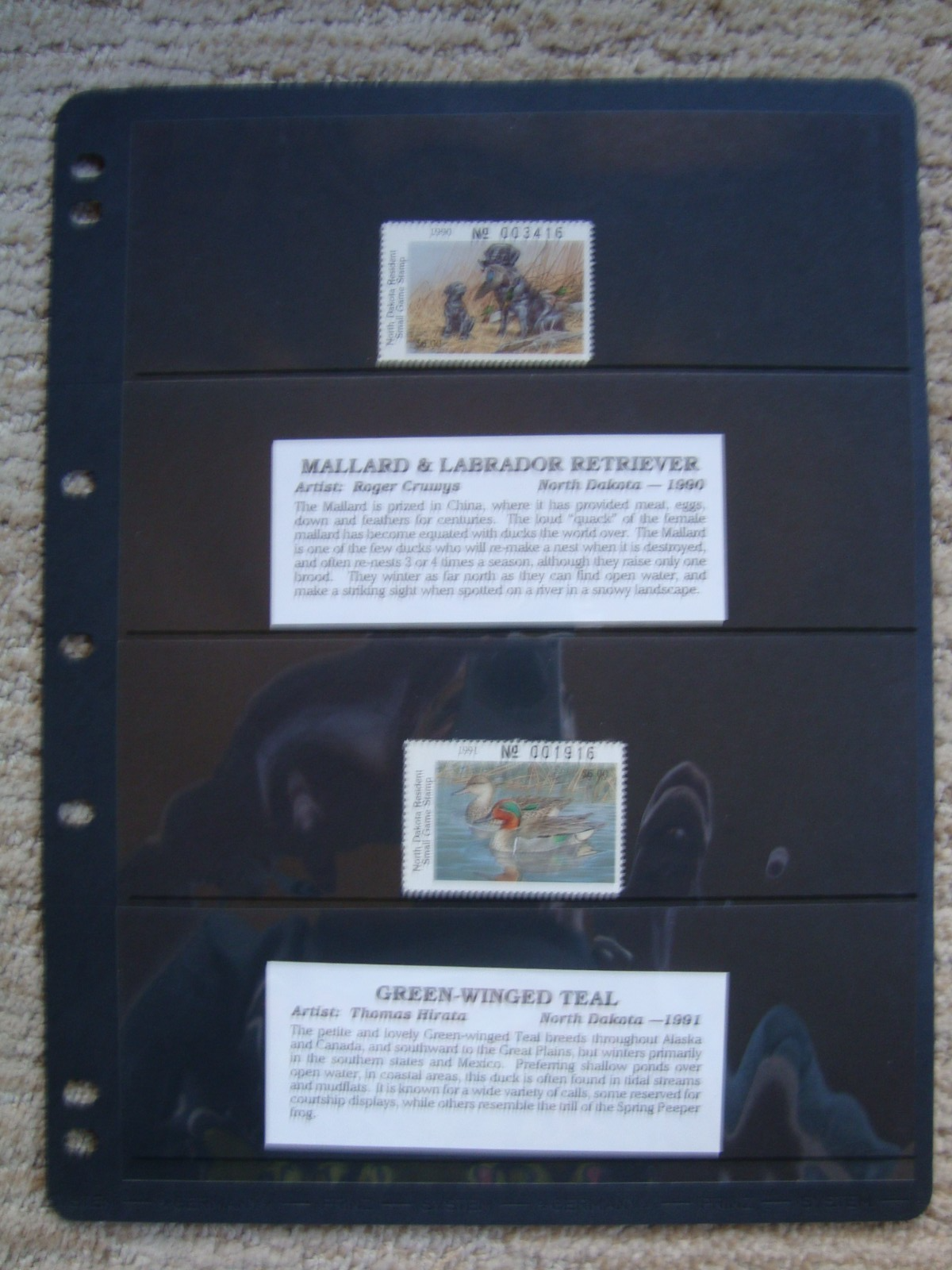 Picture 15 of 24