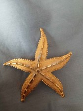 VTG Starfish Gold Tone Textured Nautical Marine Brooch Ocean Sea Pin 2.25"