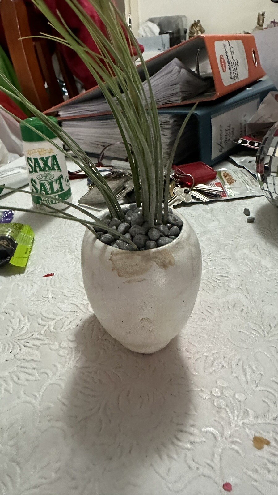 Picture 3 of 4