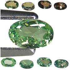  on The Hot Collector