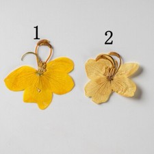 M T 2007 12PCS real Pressed dry flowers, Floral supply for art craft FSS31