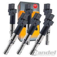 6X Ngk ZüNdspule FüR Vw Golf Iv 1J Bora Sharan Seat Alhambra Ford Galaxy 2.8 V6