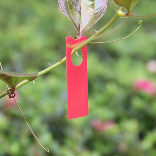 Colorful Hanging Plant Tags for Efficient Garden Plant Identification (500pcs) - Afbeelding 20 van 22