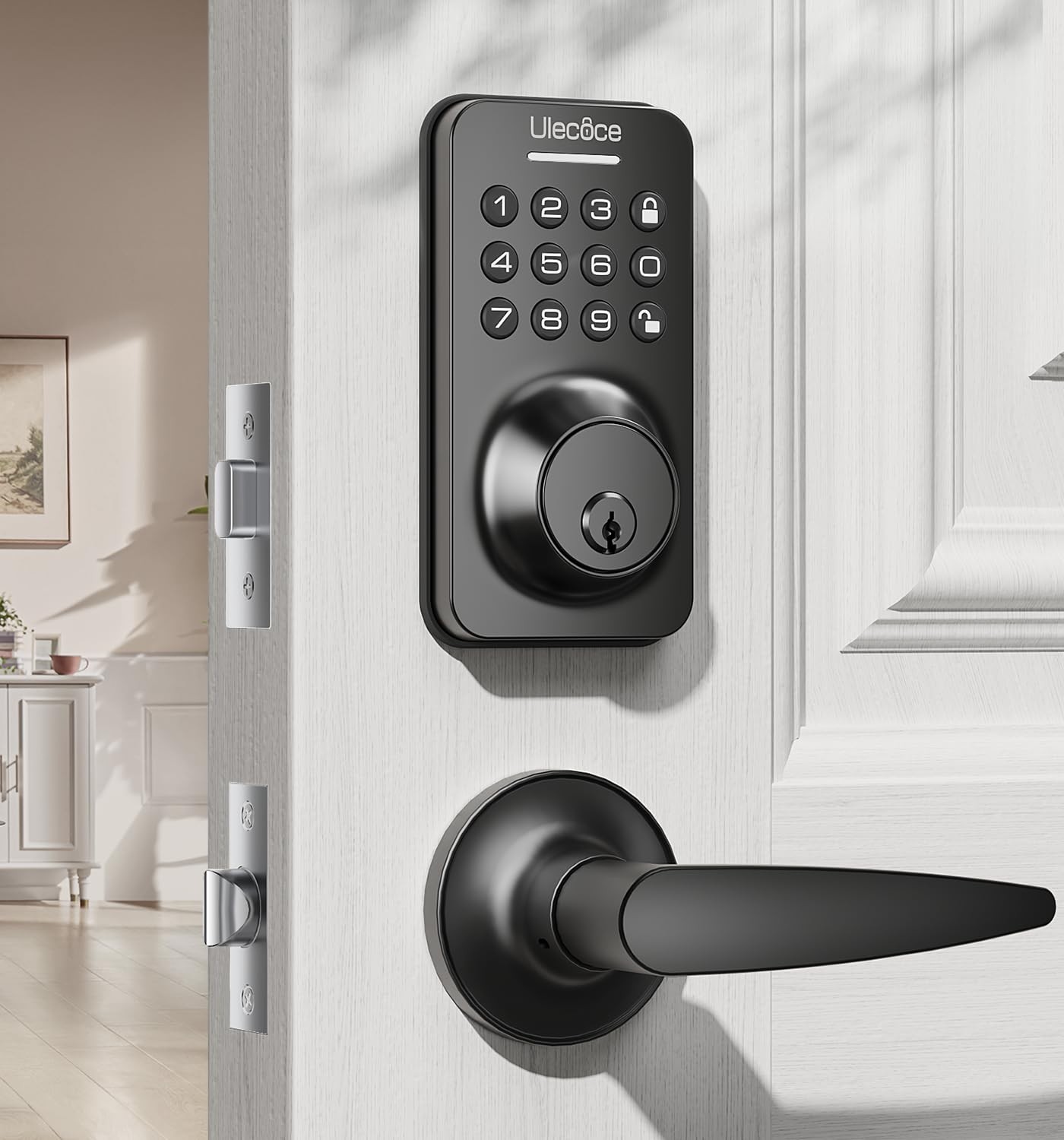 Smart Keyless Entry Deadbolt Lock with Handle Set & Keypad
