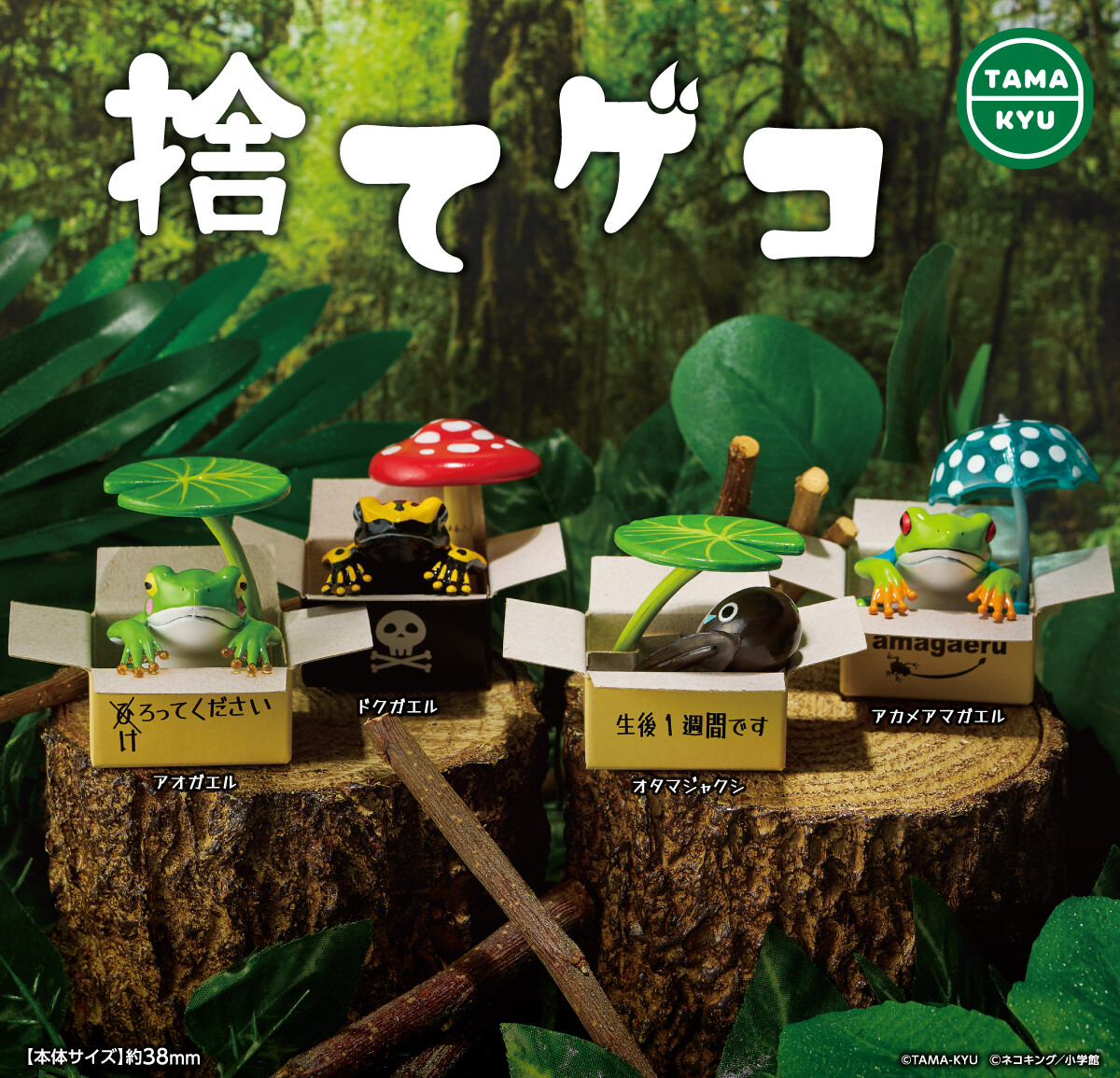 Cute Green Black Frog Blind Box Figure Japan 1 Random Gashapon Toy