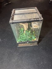 Small Glass Reptile Terrarium Front Opening Doors Mesh Screen Top Vented