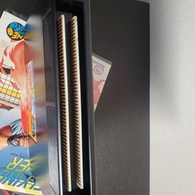 Neo Geo AES FLYING POWER DISC / WINDJAMMERS Neogeo AES SNK