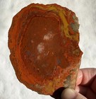 UTAH YELLOW CAT AGATE SLAB ~ 127 grams / rough jasper mineral rock cab — photo 4