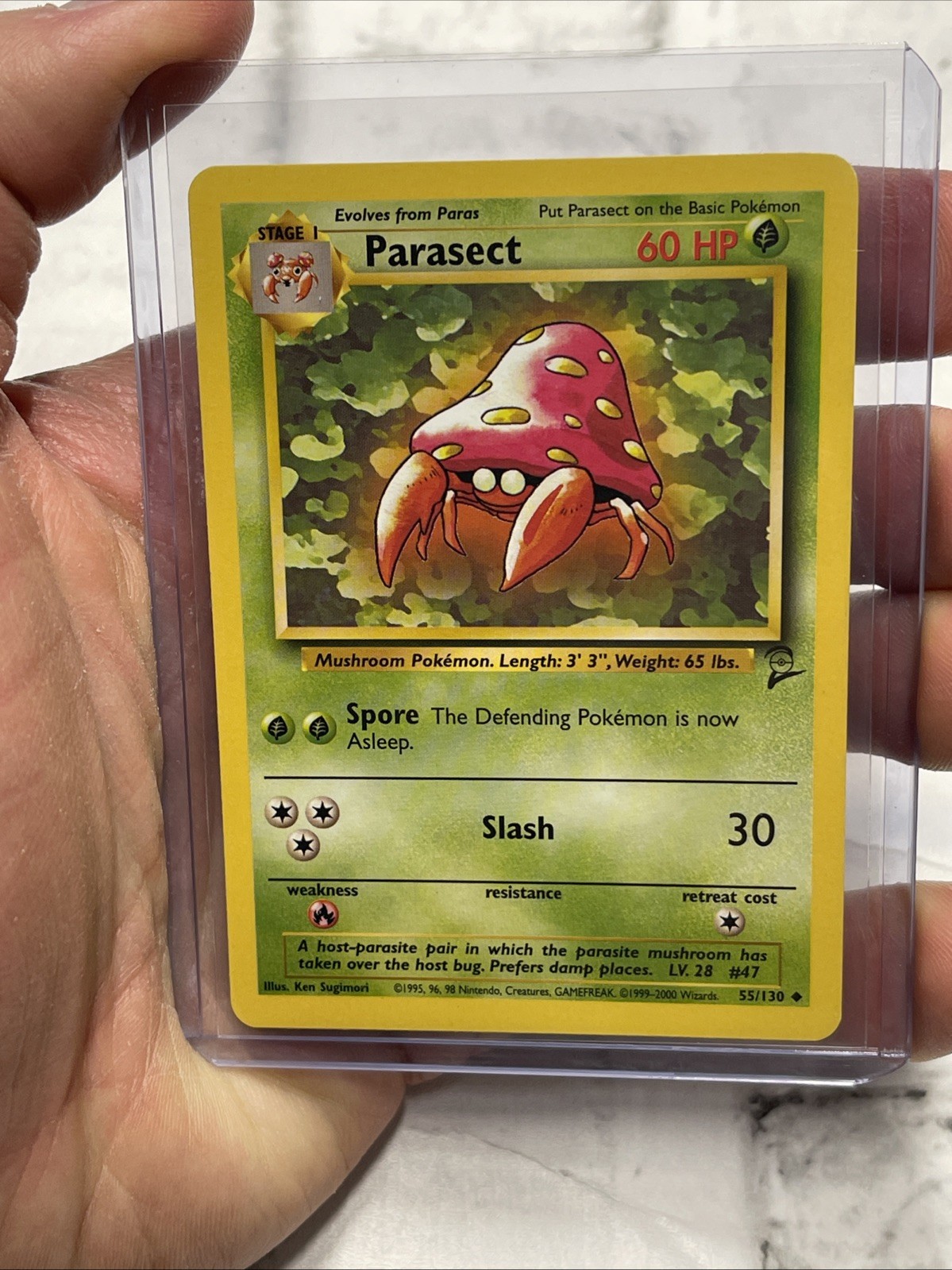 Pokemon Parasect 55/130 Base Set 2 Pokémon Card NM/MT Nintendo Uncommon Vintage