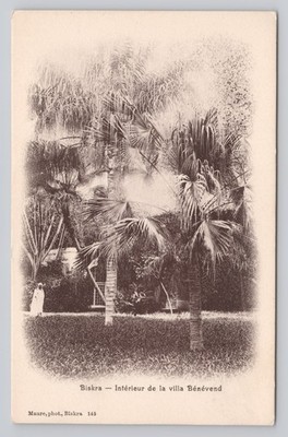 Interior of the Benevend Villa Residence Biskra Algeria c1910s Postcard