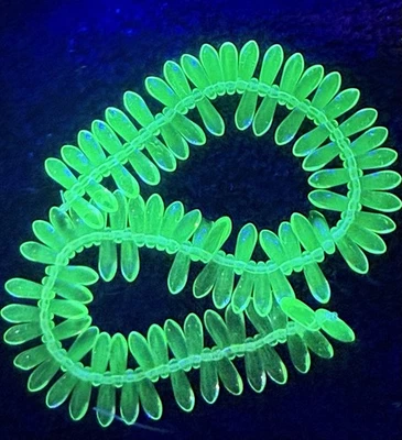 50 PCs 10 x 3mm DAGGERS Czech Yellow VASELINE/URANIUM GLASS BEADS
