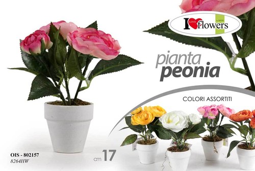 PIANTA PEONIA PIANTINA FINTA CON VASO BIANCO FIORI FINTI ARTIFICIALE FIORE 17 CM - Foto 2 di 2