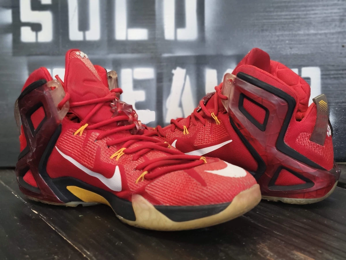 Lebron sales 2014 shoes