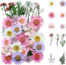 Dried Flowers, 37PCS Real Pressed Flowers, Dried Flowers for Resin, Dried Flowe