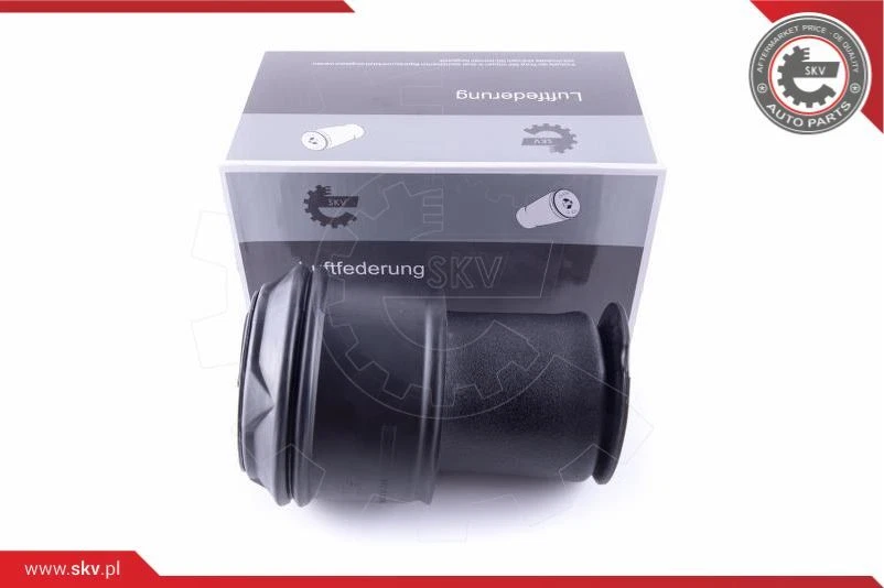 Ressort pneumatique arrière pour CITROËN | 31437 11600A2939 58SKV023
