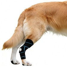 Dog Knee Brace for Back Leg, Adjustable Dog Leg Brace for Hind Leg Injuries
