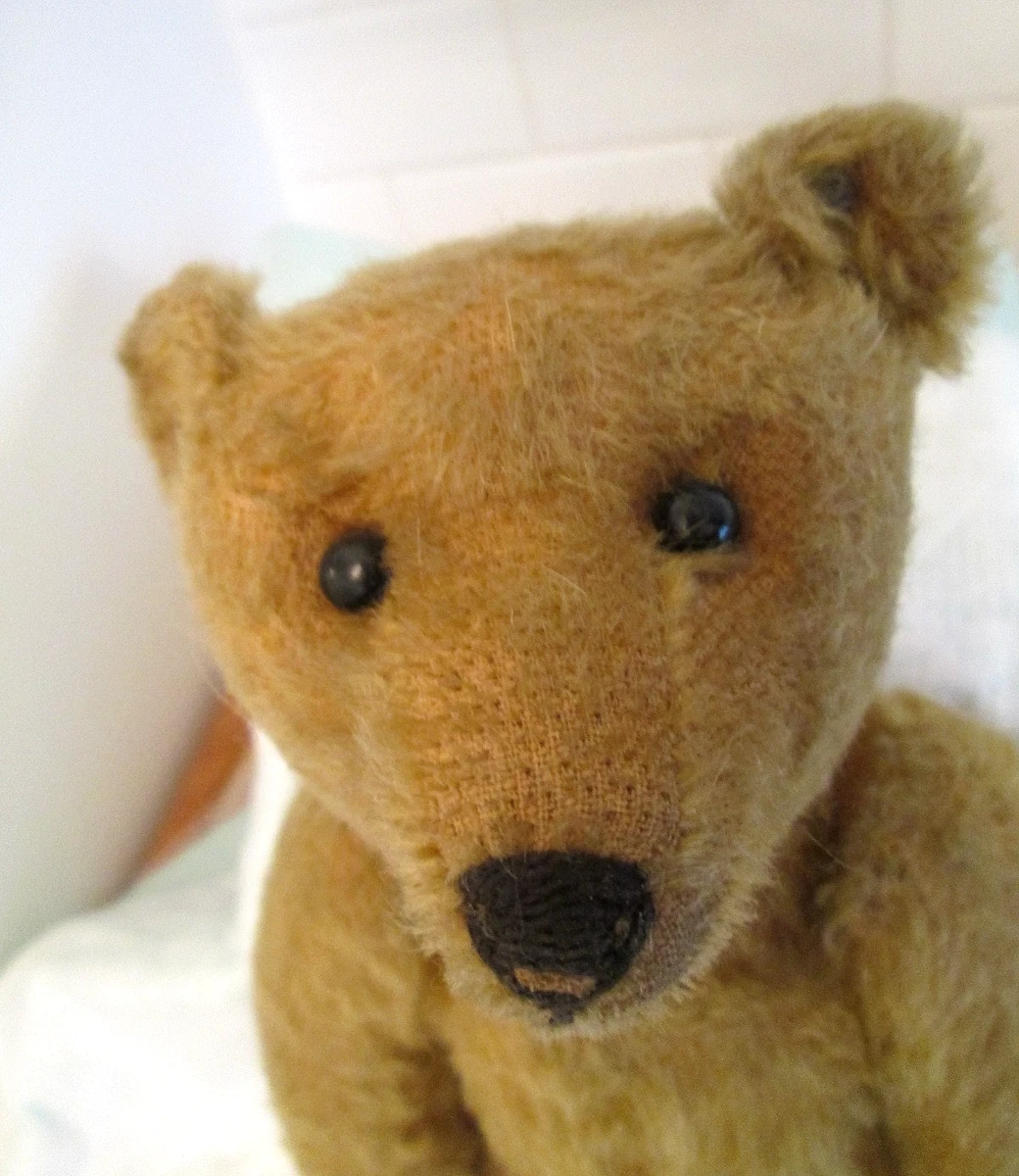 Steiff Antique Teddy Bears for sale | eBay
