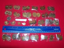 1 small size polished ammonite fossil slice half from Madagascar per lot. lite