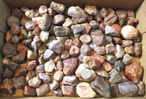 7 + POUNDS LARGER LAKE SUPERIOR AGATES ~ LARGE LOT ~ RECENTLY PICKED on SUPERIOR