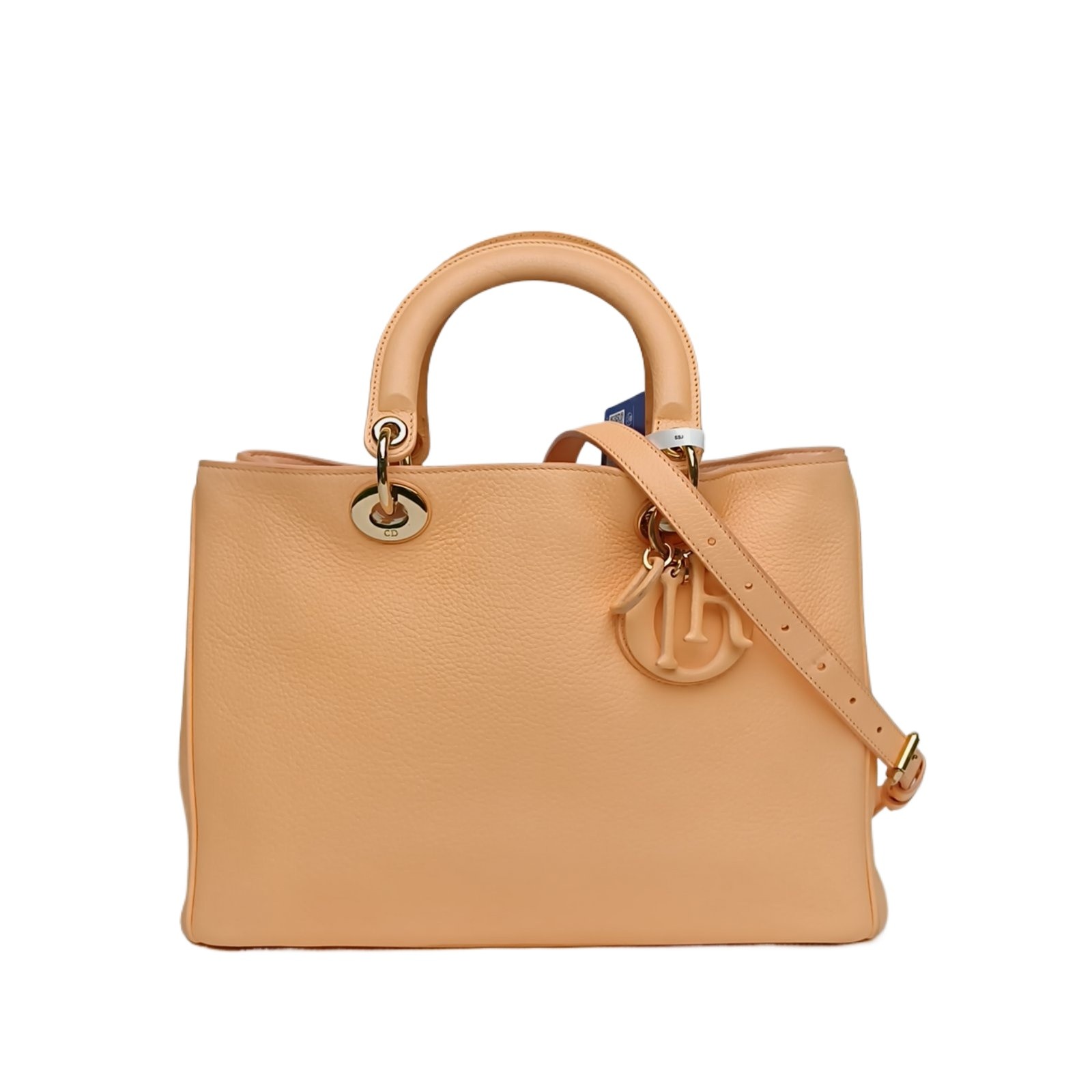 DIOR VIP Small 32cm Orange Calfskin Shoulder Bag
