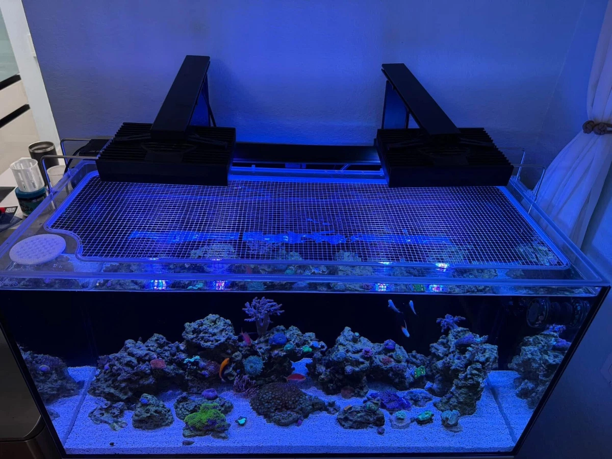 Red Sea Max for sale | eBay