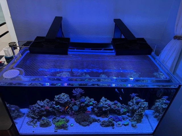 Custom Solid Polycarbonate Clear Aquarium Lid (MADE TO ORDER)