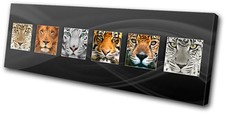 Animals Tiger Lion Cheetah CANVAS WALL ART Picture Print VA