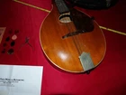 Picture 16 of 24