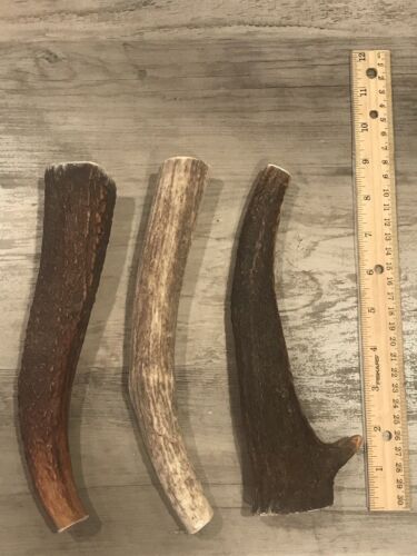 (3 PACK) X-LARGE Elk/Deer Antler Premium Dog Chews **OREGON ANTLER WORKS** - Picture 4 of 6