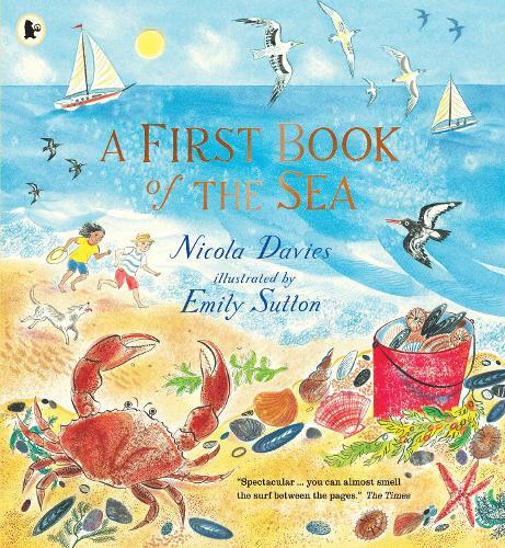 Thumbnail - Nicola Davies A First Book Of The Sea (taschenbuch)