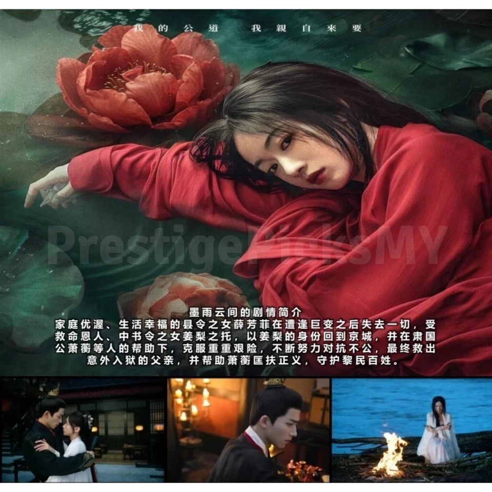 The Double DVD 2024 Chinese Drama Series English Subbed Full HD All Region - Image 2 of 4