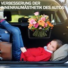 Bild 12 von 12