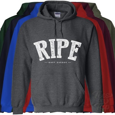 RIPE EAST SUSSEX HOODIE Chalvington with Wealden England College Varsity Style