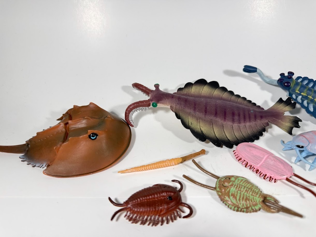 Dinosaur Toy Lot CAMBRIAN EXPLOSION 9 Prehistoric Collectibles Rare Miniatures