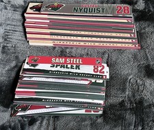 Game Used Hockey locker Nameplates Wild Checkers Stampede Thrashers Bundle NHL
