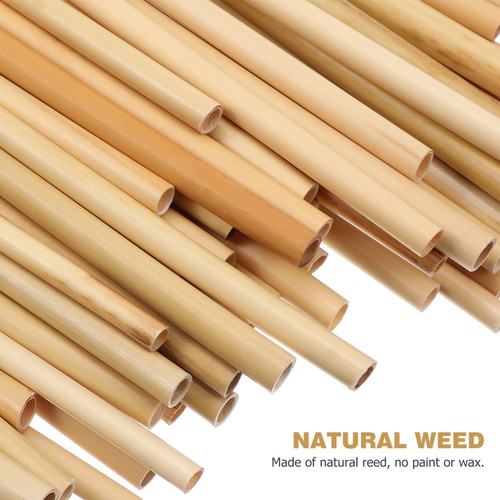 2 Count Father Phragmite Reed Bee Tubes House Replacement for Mason Beehives - Picture 8 of 12