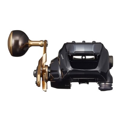 Daiwa 21 Seaborg G300J Electric reel English Language Right-handed