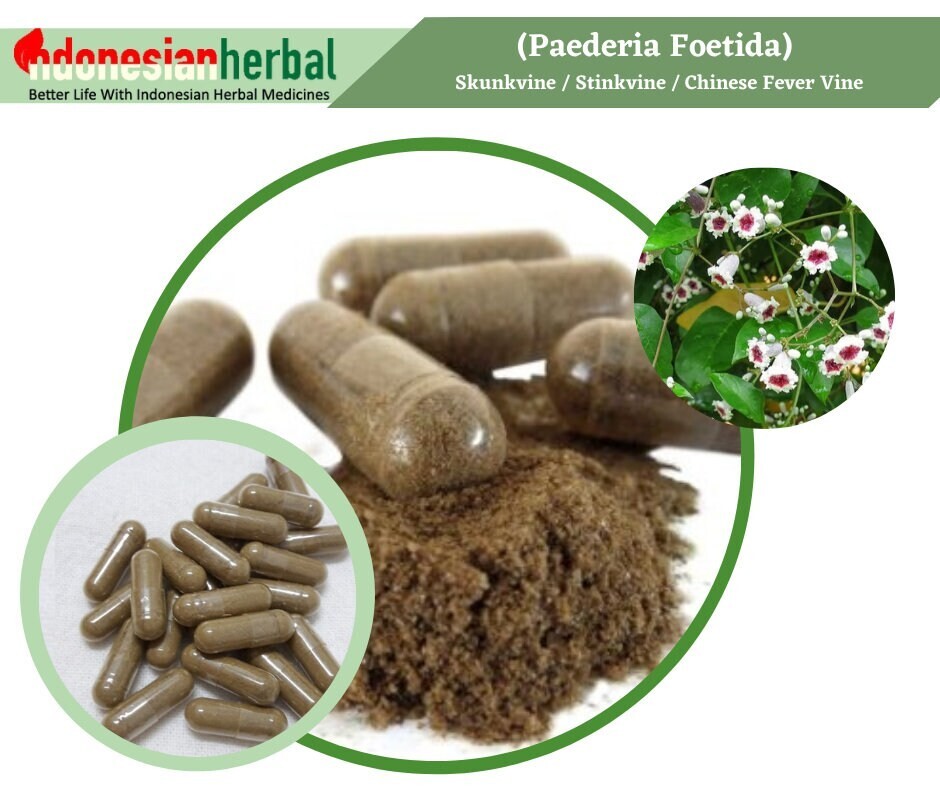 Capsula di erbe naturali biologiche pure Paederia Foetida Skunkvine