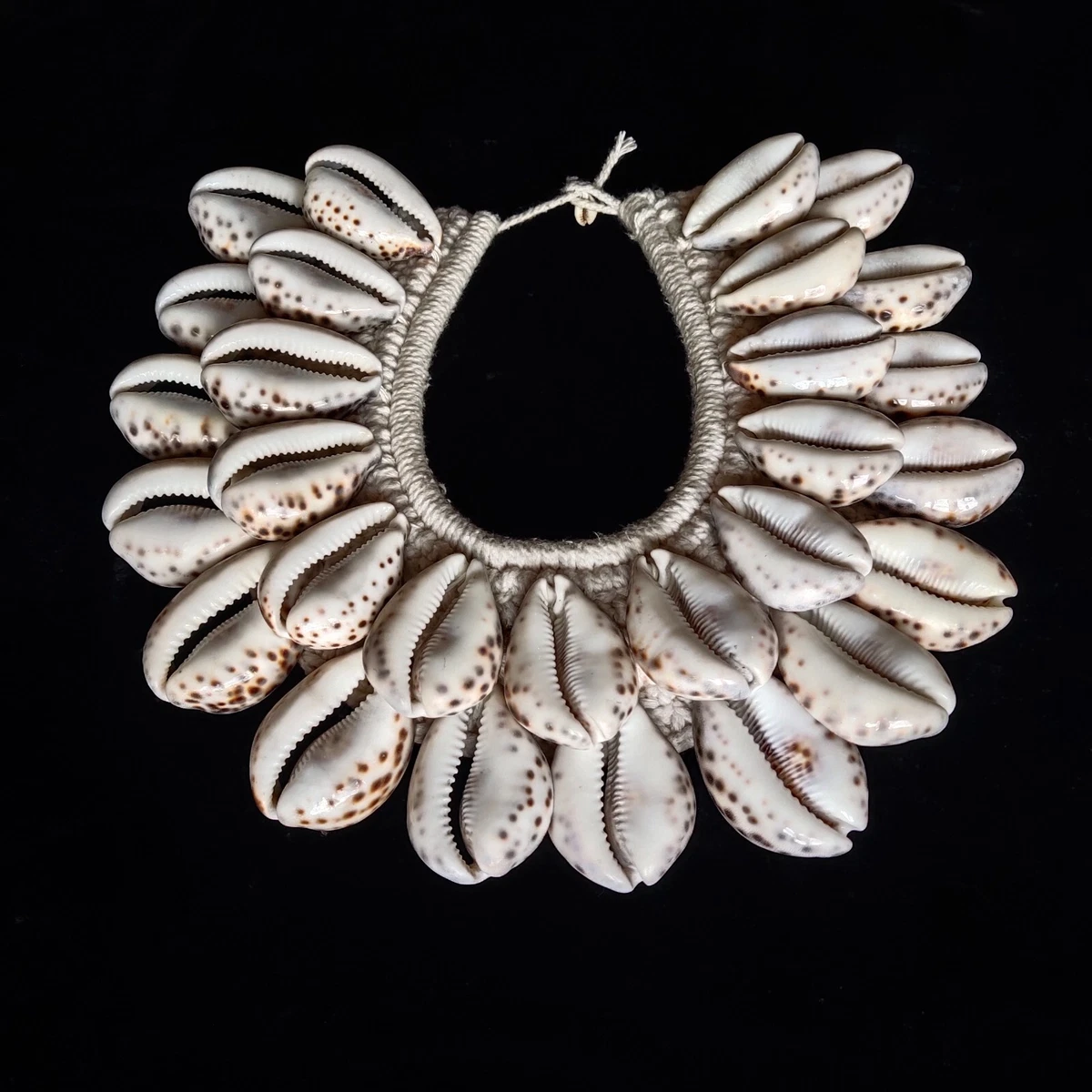 Papua cheap shell necklace