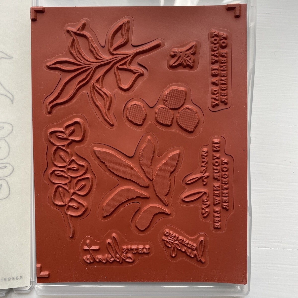 Stampin' Up! SPLENDID THOUGHTS Stamp Set & SPLENDID STEMS Dies