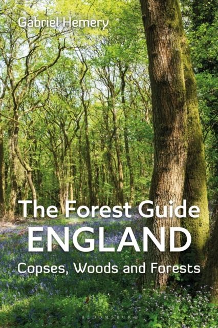 The Forest Guide: England by Gabriel Hemery Paperback