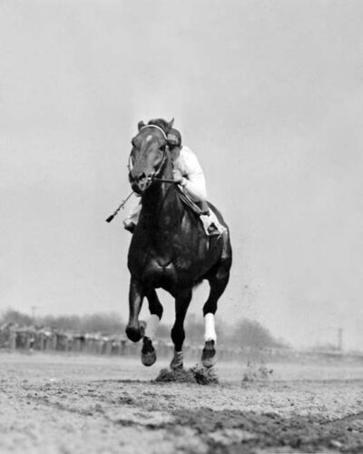 8x10 1938 Seabiscuit vs War Admiral PHOTO Poster Horse Race Racing Epic  Battle