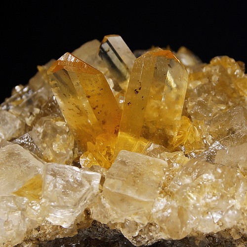 Cristalli di selenite gialla su Halite da Salinas de Otuma - Perù - Foto 5 di 5