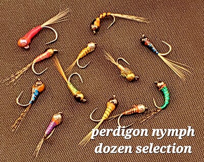 12 Tungsten Bead Perdigon Nymph SELECTION, Tungsten Perdigon Nymph, Euro Nymph